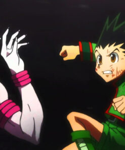 Hunter x Hunter