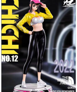 Dragon Ball DP9 Studio Fashion ChiChi 1/6 Resin Statue